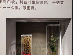 -北京中医药大学-中医药博物馆