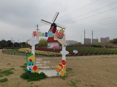 -菊园百果园
