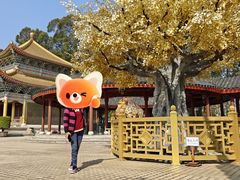 -广东圆玄道观