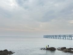 -星海湾跨海大桥