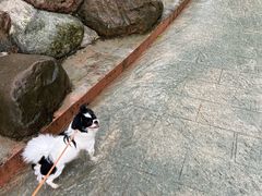 -五凤溪古镇