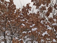 -沈阳辉山风景区