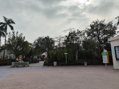 -美的鹭湖探索王国