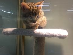 -乐宠宠物店(世纪金源店)