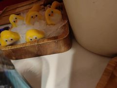 -九鼎轩火锅大排挡