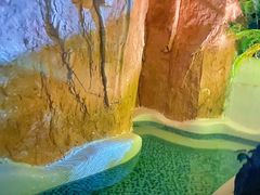 -清泉湾生态旅游度假区