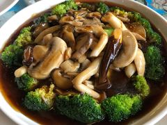 蚝油扒杂菌-得心斋(国瑞升平里店)