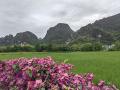 -明仕田园