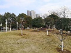 -楚望台遗址公园
