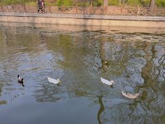 -迎泽公园