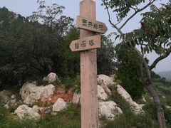 -府君山公园
