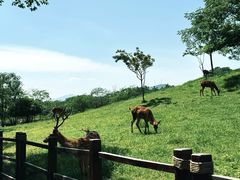 -良渚古城遗址公园