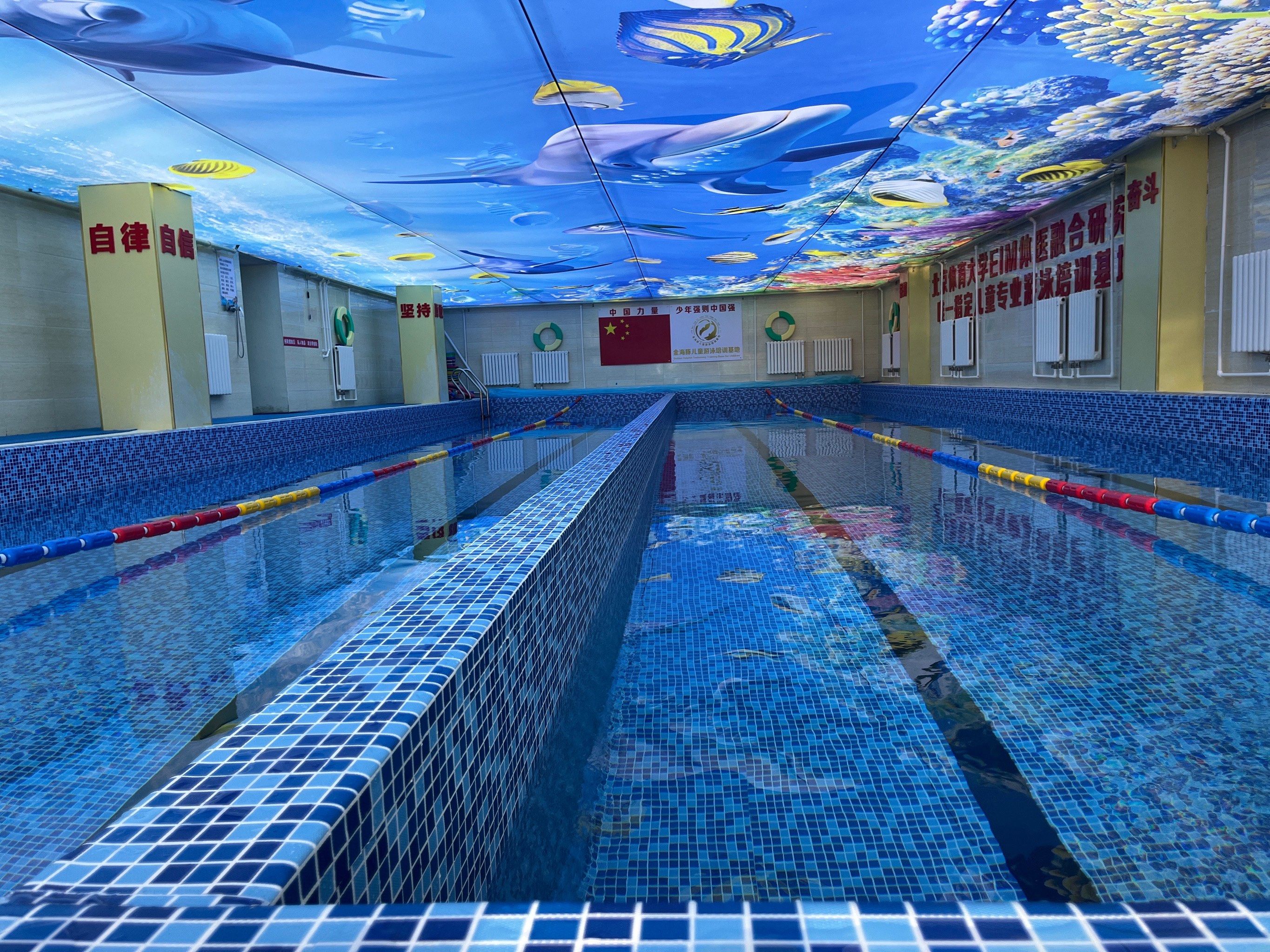 金海豚专业儿童游泳培训27年·纯儿童