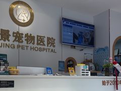 -丹景宠物医院·全科·老年病·牙科(武昌诊疗中心)