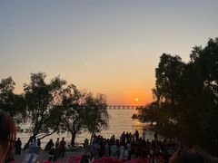 -宝安西湾红树林湿地公园