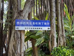 -南沙天后宫景区