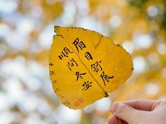 -炎钬堂亚健康管理(白银路店)