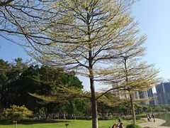 -飞来湖湿地公园