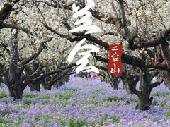 -江苏三台山国家森林公园