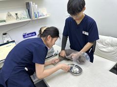 -拜鲁耶动物诊疗中心·宠家动物医院