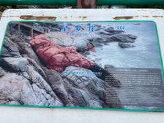 -广东惠东海龟国家级自然保护区