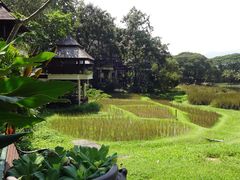 -四季酒店下午茶