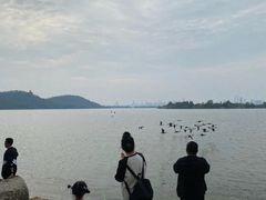 -东湖落雁景区