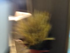 -康道天地(达邦协作广场店)