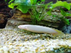 -上海海洋水族馆