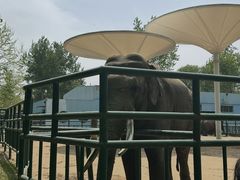-秦皇岛野生动物园