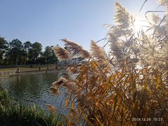 -美兰湖景区