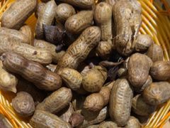 -木屋烧烤(万德庄店)