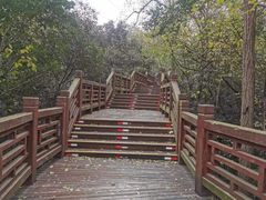 -紫金山山顶公园