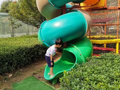 -廊坊固安福朋喜来登酒店