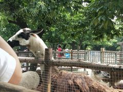 -西安秦岭野生动物园