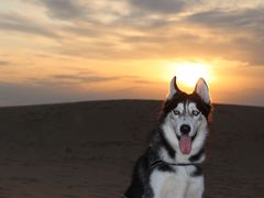 -亿利库布其七星湖沙漠生态旅游区