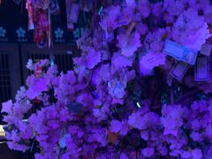 -长藤鬼校(钟楼店)