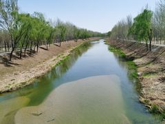 -东郊湿地公园