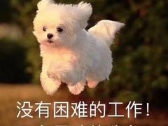 -李师傅脆肚(梅林店)