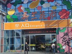 -荷兰花海
