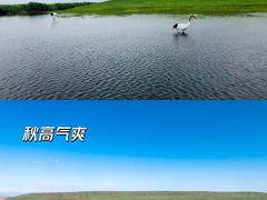 -黑龙江扎龙生态旅游区