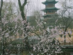 -迎泽公园