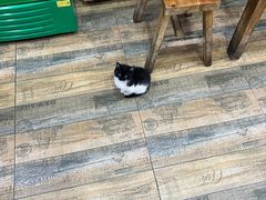 -八风爆肚面(海亮新英里店)