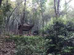 -杭州黄龙洞