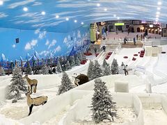 -世界之窗阿尔卑斯冰雪世界