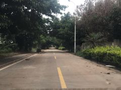 -大嶝岛景霞大排档