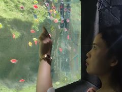 -苏州海洋馆