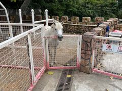 -J Create城市露营咖啡·简餐·宠物(上海动物园店)