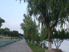 -羊山湖公园