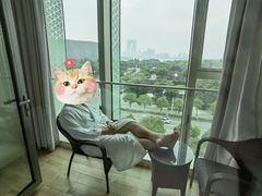 -苏州金鸡湖文博诺富特酒店